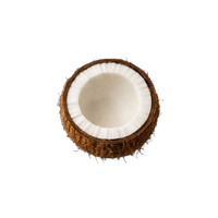 Coconut Oil