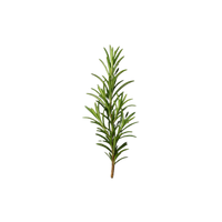 Rosemary Oil